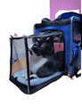 Rucksack Tasche Transportbox für Katzen und kleine Hunde