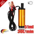 30L Tauchpumpe DC 12V Pumpe 12 Volt 51mm Wasserpumpe Wohnwagen Camping Garten.