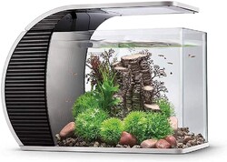 Hygger LED Glasaquarium-Set 19 Liter, Panoramaaquarium geschwungene Frontscheibe