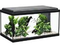 Aquarium aquatlantis Advance 60 mit LED-Beleuchtung, Filter, Heizer ohne Untersc