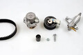 Wellenset + Wasserpumpe PK05542 HEPU für VW AUDI