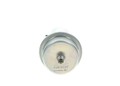 Druckspeicher Kraftstoffdruck Bosch für Mercedes SL 1980 - 1989 0438170017