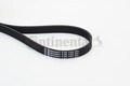 CONTINENTAL CTAM 6PK1120 Keilrippenriemen für Vw Ford Audi Seat Skoda
