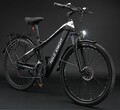 29 Zoll Elektrofahrrad 48V/16Ah E-Mountainbike eBike Pedelec Shimano 21 Gänge DE