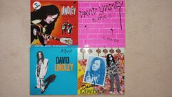 David Lindley - 4 Albums / Vinyl / near mint