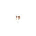 Pet Shop Boys Please (Vinyl) 12" Album (US IMPORT)
