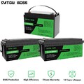 12V 100Ah 200Ah 300Ah LiFePO4 Lithium Batterie BMS Akku Wohnmobil 15000+ Zyklen