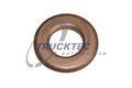 TRUCKTEC AUTOMOTIVE Wärmeschutzscheibe, Einspritzanlage 02.10.079