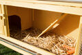 Kaninchenstall Kleintierstall doppelstöckig Hasenstall Hamsterkäfig aus Holz