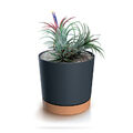 Blumentopf Übertopf Blumenkübel mit EcoHolz Untersetzer Rund Tubo ⌀10.8 cm Anthr