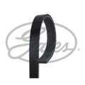 Keilrippenriemen Micro-V® GATES 5PK1515 für Renault Clio II