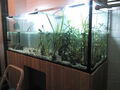 Aquarium ca. 400L mit Zubehör und 2 Pumpen, Wärmematte, Kies, Unterschrank