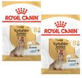 (EUR 12,40 / kg)  Royal Canin Yorkshire Terrier Adult 8+ Hundefutter: 2 x 1,5 kg