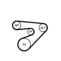 CONTINENTAL CTAM 6PK1453K2 Keilrippenriemensatz für SEAT SKODA VW