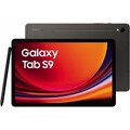 Samsung Galaxy Tab S9 X710 WiFi 256 GB / 12 GB  Graphit