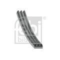 FEBI BILSTEIN 28742 Keilrippenriemen für FORD,HYUNDAI,HYUNDAI (BEIJING),KIA