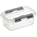 Aufbewahrungsbox 0,5l  transparent "the q-line" helit