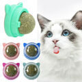 Pet Rotating Catnip Ball Wall Mounted Toys Natural Healthy Cleaning Cat O