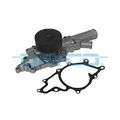 1x Wasserpumpe, Motorkühlung DAYCO DP290 passend für MERCEDES-BENZ