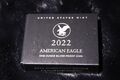 Silbermünze American Eagle 1 oz Silber  PP 2022 USA One Dollar  1 oz 999