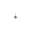 1 987 301 145 BOSCH Glühlampe, Hauptscheinwerfer Plus 200 Gigalight BL