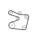 1x Keilrippenriemensatz CONTINENTAL CTAM 6PK1555K1 passend für