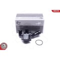 1x Thermostat, Kühlmittel ESEN SKV 20SKV162 passend für AUDI SEAT VW VAG