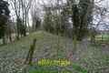 Foto 6x4 Trackbed bei Malvern Wells Malvern Common Trackbed der defu c2019
