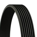 Keilrippenriemen CONTINENTAL CTAM 7PK1035 für RENAULT TWINGO CLIO WIND MODUS BMW