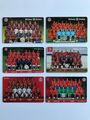 6 Stück Top Zustand, Allianz Arena Card, FC Bayern München, arenacard Mannschaft