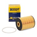HENGST E1001HD28 Ölfilter für AUDI FORD JEEP MERCEDES PORSCHE SKODA VOLVO VW