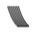 FEBI KEILRIPPENRIEMEN 7PK1605 passend für BMW 5 7 8 DACIA DOKKER DUSTER LODGY LO