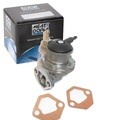 MEAT & DORIA KRAFTSTOFFPUMPE PUMPE passend für FIAT 500 600 | POC062