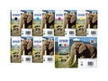Epson 24 XL / 24  DRUCKER PATRONEN T2431 T2438 XP750 XP760 Elefant SET Original
