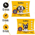 Anti Insekten Floh und Zeckenhalsband für Haustier Katzen Hund 8-Monate Schutz