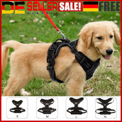 Hundegeschirr Brustgeschirr Hunde verstellbar S M L XL gepolstert Nylon reflekt