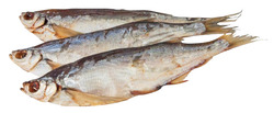 Säbelfisch Чехонь 500g unausgenommen natürlicher Fisch getrocknet непотрошенная
