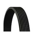 1x Keilrippenriemen CONTINENTAL CTAM 7PK1815 passend für HONDA NISSAN TOYOTA