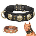 Hundehalsband Nietenhalsband Lederhalsband 5cm Breit Echtleder Rottweiler M/L