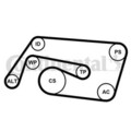 CONTINENTAL CTAM Keilrippenriemensatz 6PK2260K2 für MERCEDES-BENZ