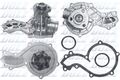 DOLZ A151 Wasserpumpe für AUDI FORD SEAT VW