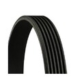 CONTINENTAL CTAM Keilrippenriemen 6PK1767