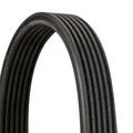 CONTINENTAL CTAM Keilrippenriemen 6DPK1697 für BMW