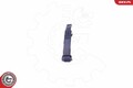 Türgriff Esen SKV für Audi Q5 Q7 Q3 A8 D4 A6 C7 Avant A7 2008 -> 96Skv055