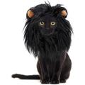 Schwarzes Löwenmähne-Kostüm für kleine Haustiere, Katzen, Hunde,