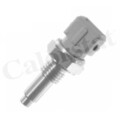 CALORSTAT by Vernet Sensor Kühlmitteltemperatur Temperatursensor WS2589