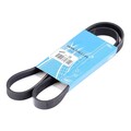 SKF VKMV 5PK1145 Keilrippenriemen für FORD KA (RU8) Escort VI Cabrio (ALL)
