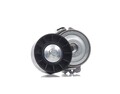 RIDEX 310T0510 Spannrolle Keilrippenriemen für FORD Focus C-Max (DM2)
