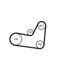 Continental Ctam 6Pk1070K2 Keilrippenriemen Rippenriemen Satz für Skoda VW Seat