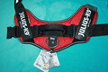 ⭐️Julius K9 Geschirr IDC Powergeschirr Gr. M / 0 rot Bauch 58 -76 cm UNBENUTZT⭐️